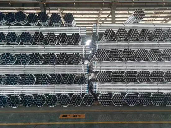 Venda Quente Chinesa Longa